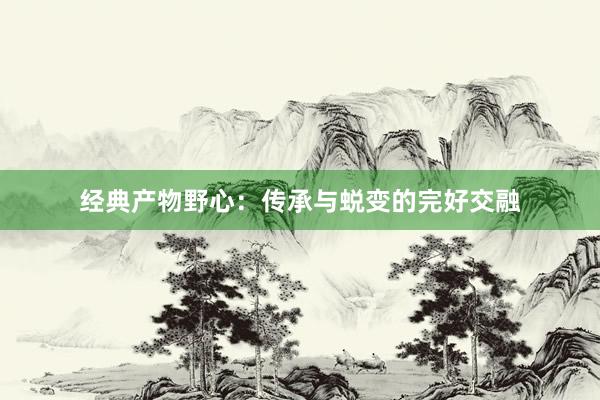 经典产物野心:传承与蜕变的完好交融