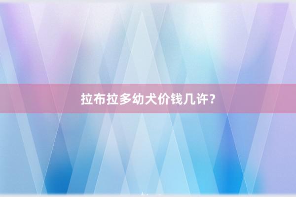 拉布拉多幼犬价钱几许?