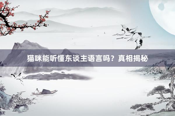 猫咪能听懂东谈主语言吗？真相揭秘
